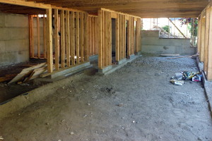 Custom Home Basement