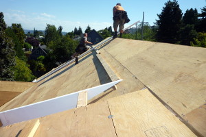 Custom Home Roof