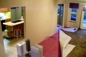 Lower Level before